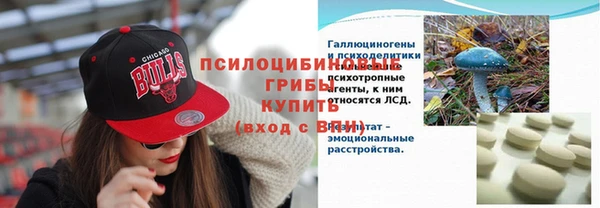 гидропоника Алексеевка