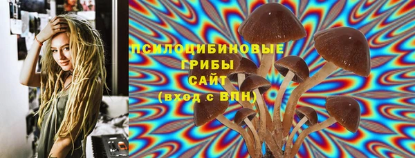 крисы Алексин