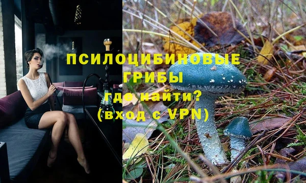 крисы Алексин